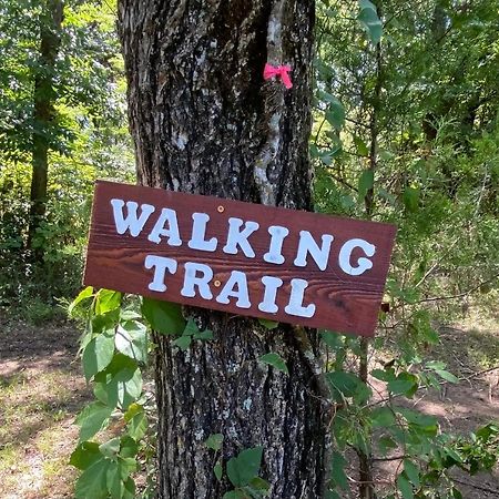 The Woods Lodging Kingston エクステリア 写真